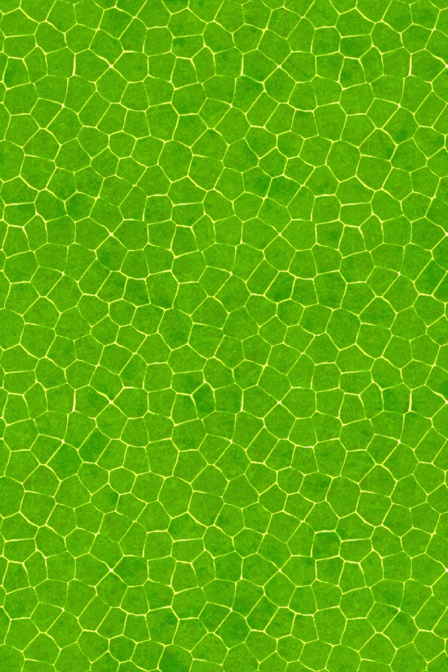 Зелёные сегменты обои