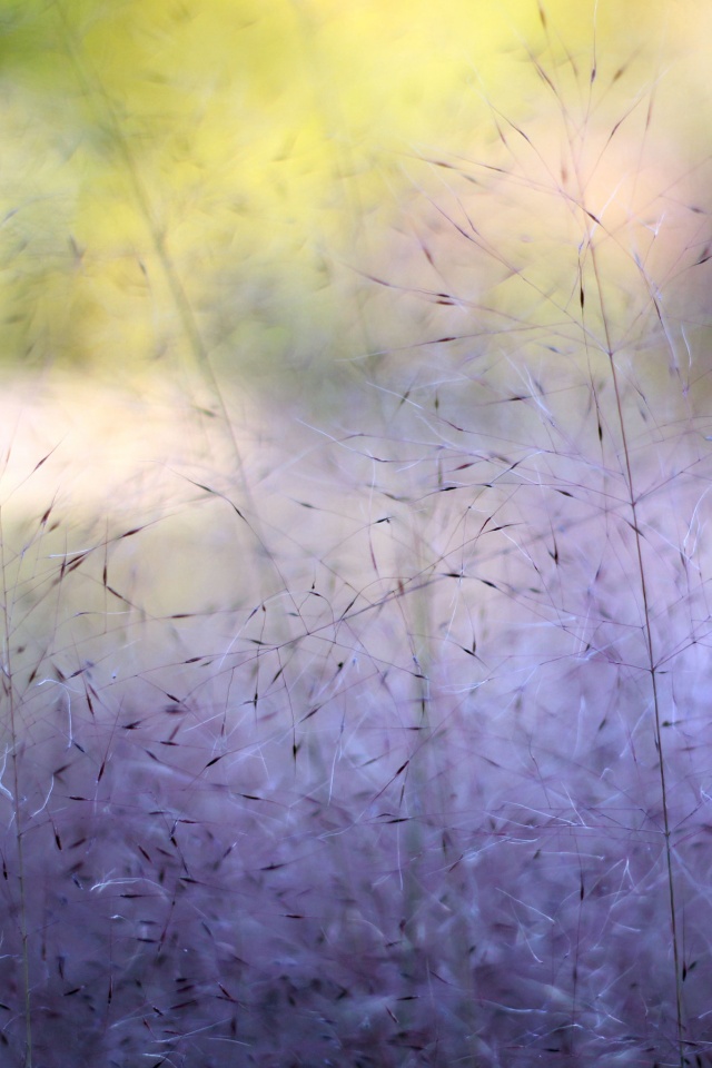 Былинки обои