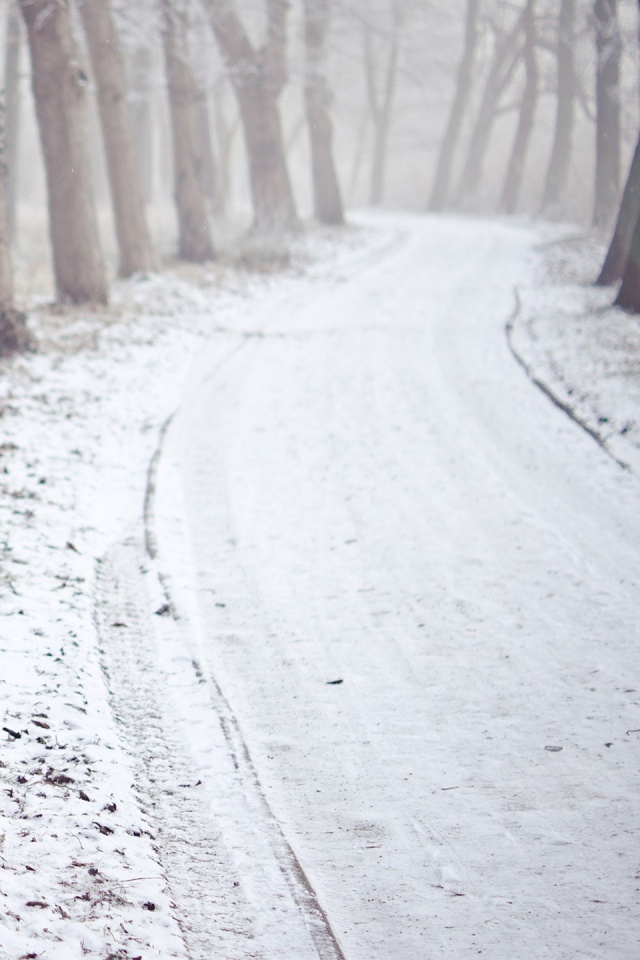 Дорога в зимнем лесу обои