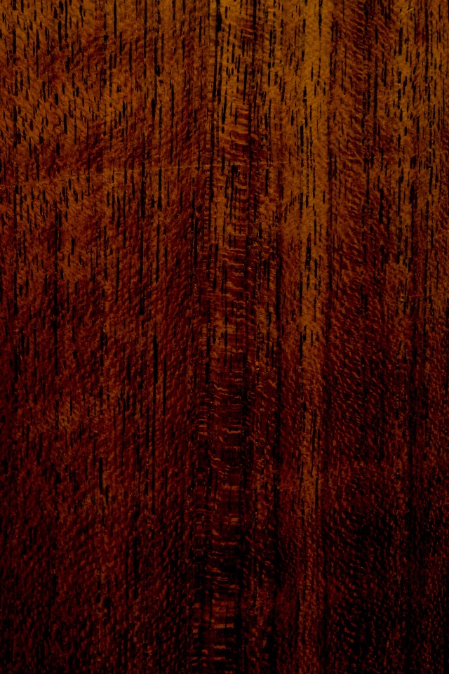 Темно-оранжевое дерево обои