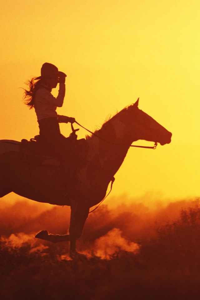Наездница на закате обои