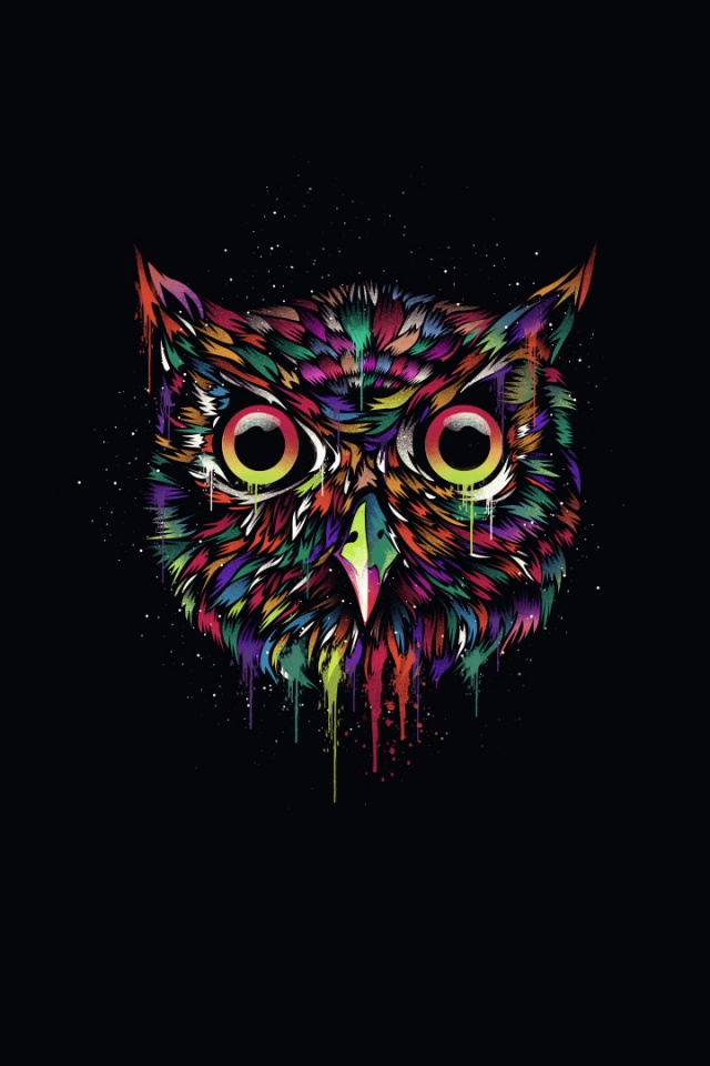 Векторная совиная голова обои