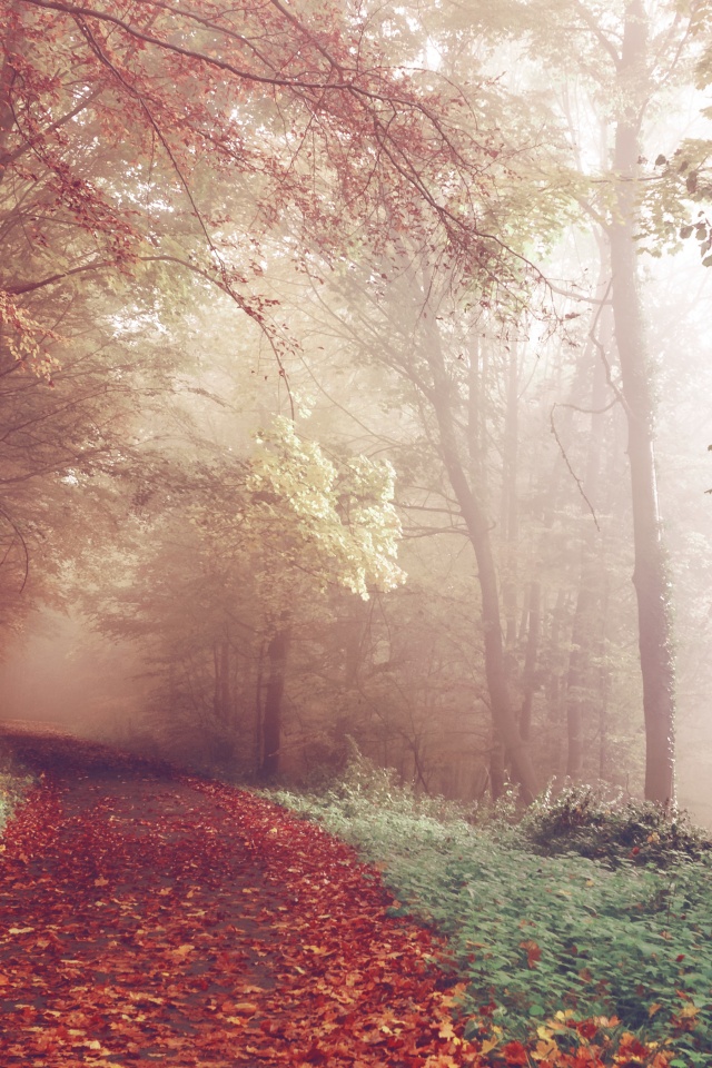 Осенний мистический пейзаж обои