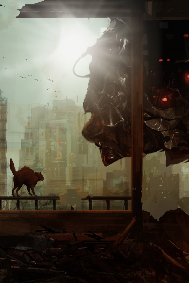 Кошкино удивление обои