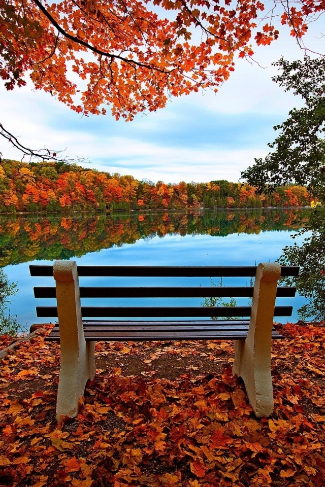 Вид на осеннее озеро обои