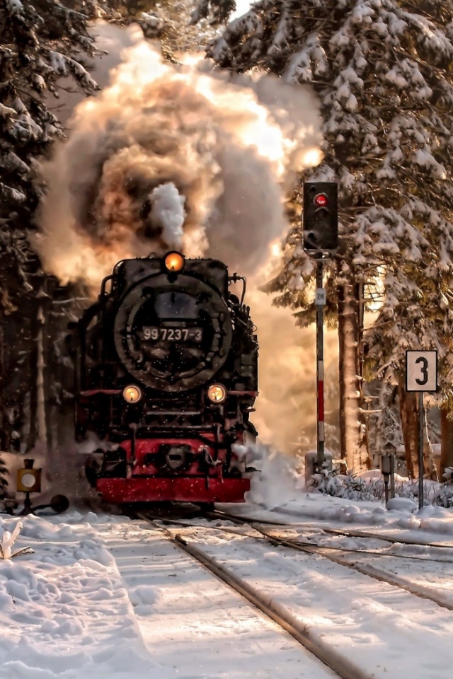 Паровоз в димнем лесу обои