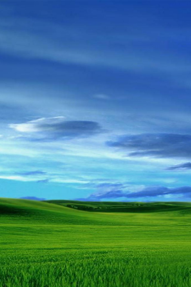 Зеленый луг обои