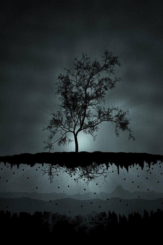 Когда деревья летают обои