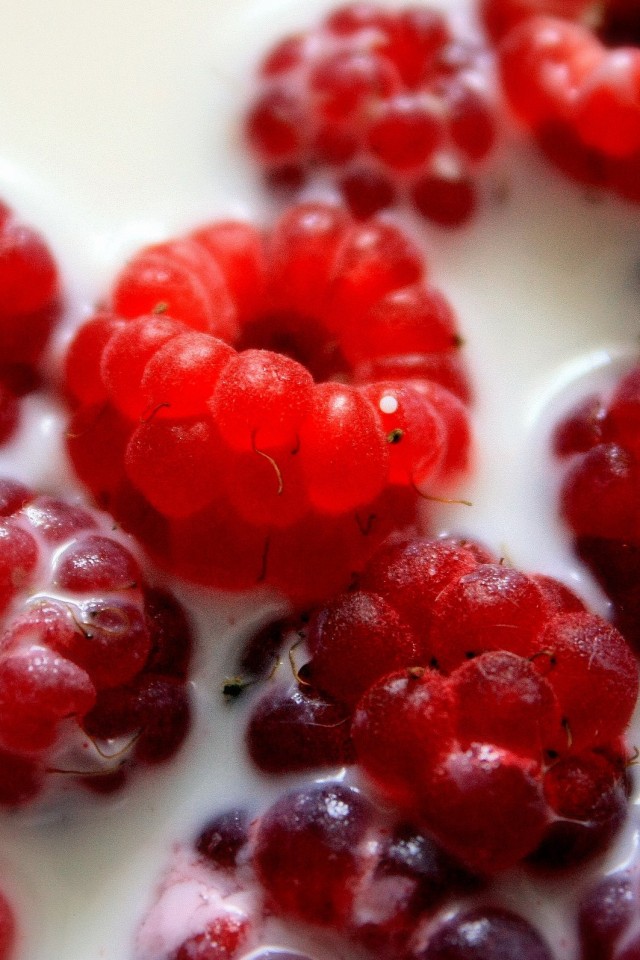 Малина в молоке обои