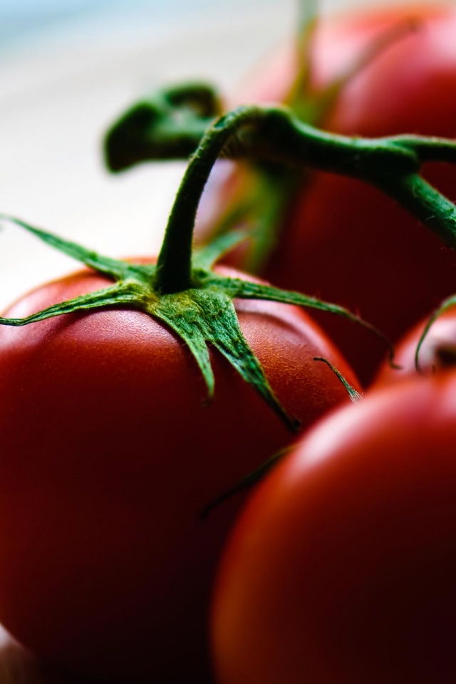 Аппетитные помидоры обои