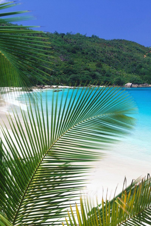 Лазурная лагуна обои