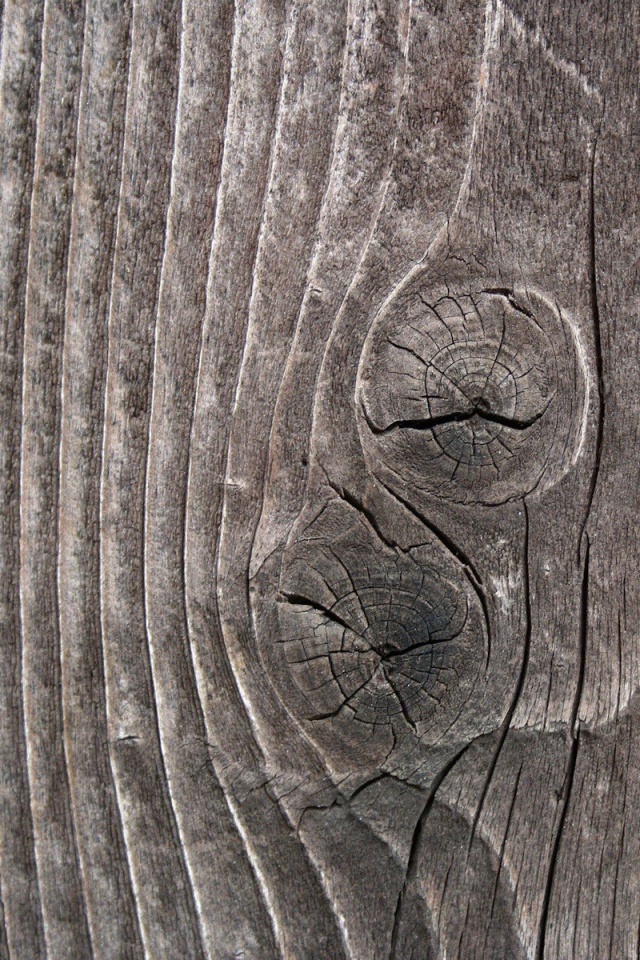 Сучковатое дерево обои