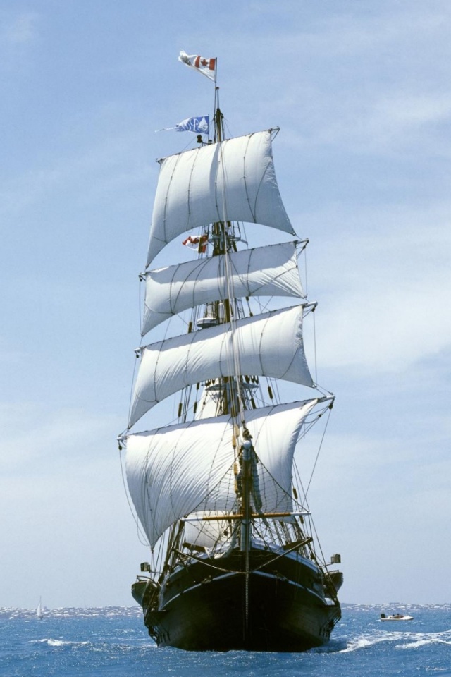 Парусник обои