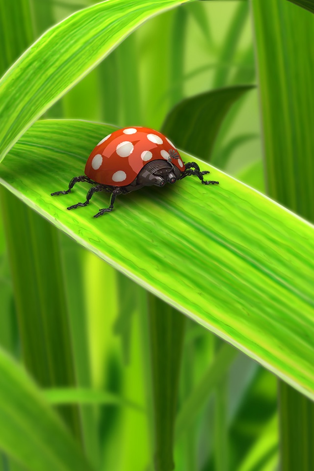 Милая божья коровка робот обои