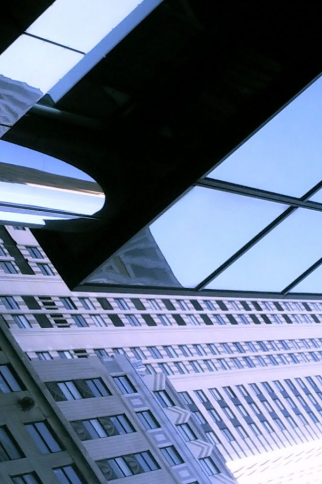 Взгляд вверх обои