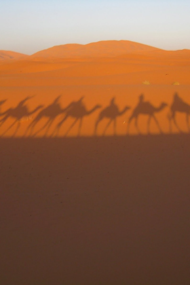 Караван обои