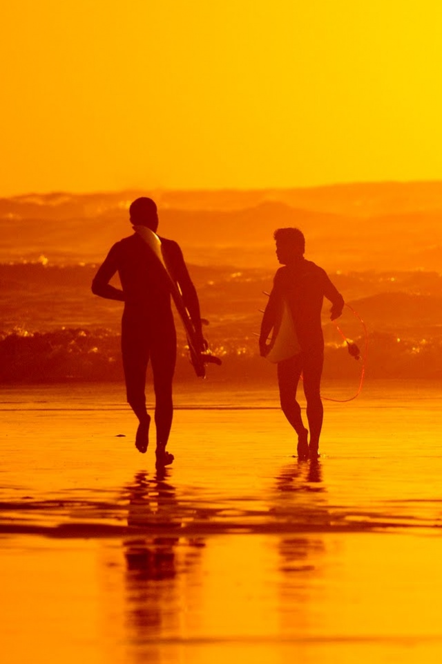 Серфингисты обои