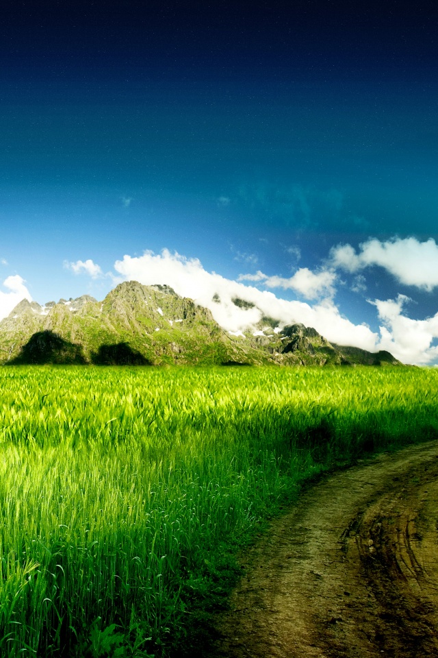 Прекрасная природа обои