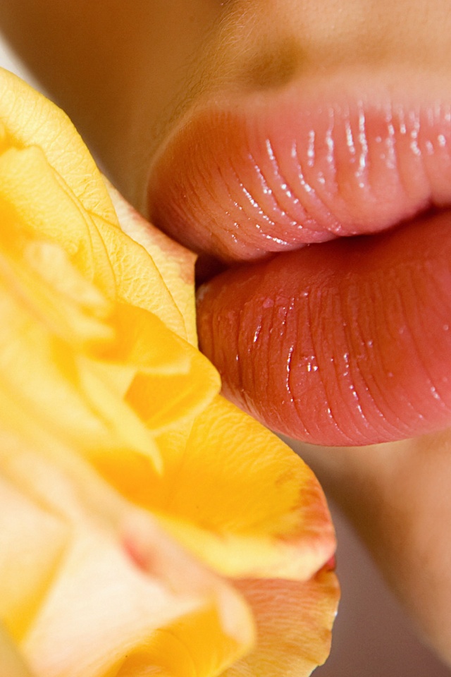 Губы девушки и роза обои