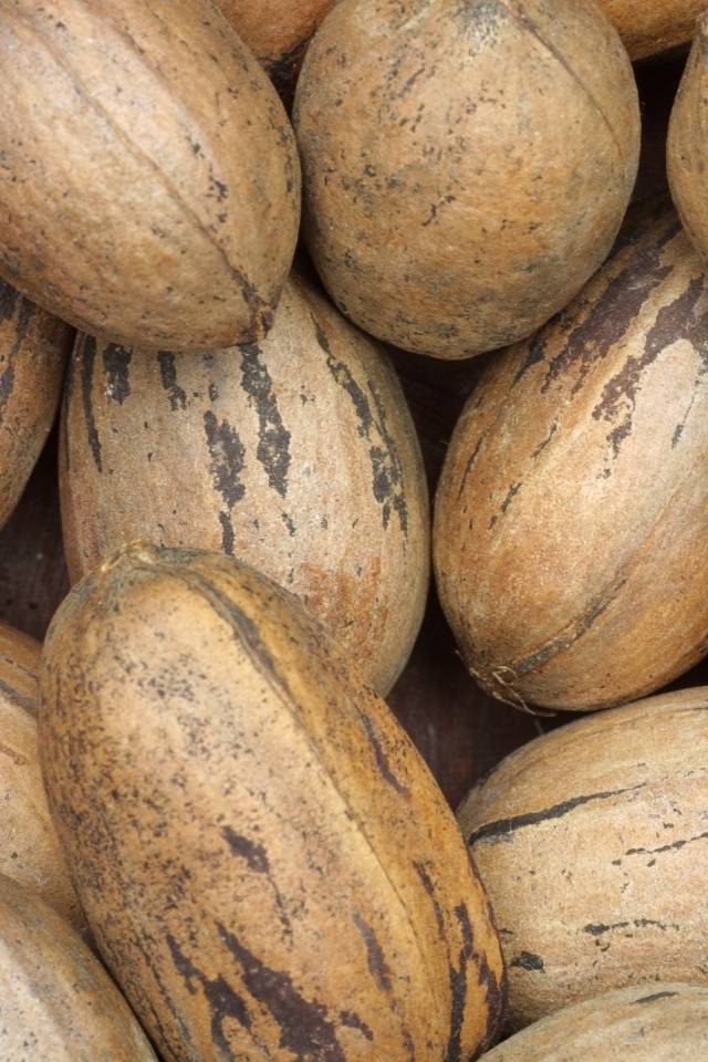 Грецкие орехи обои