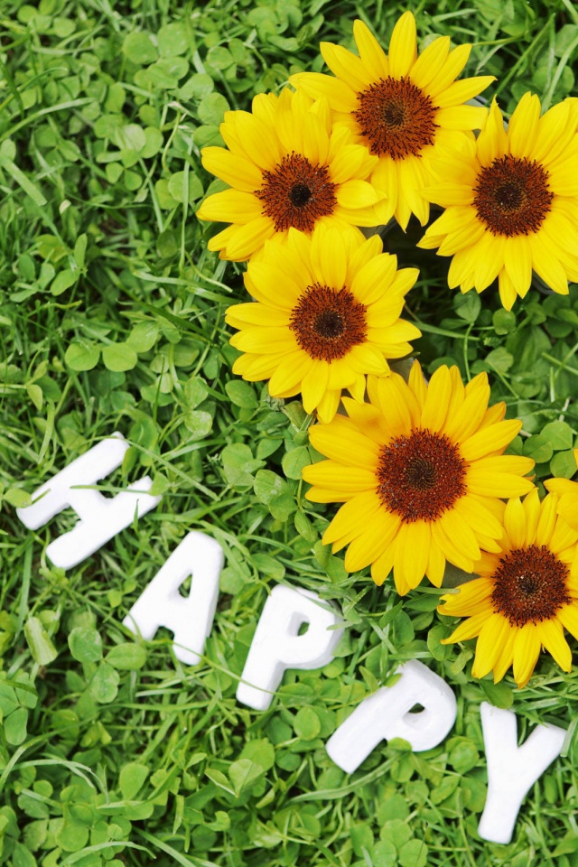 Радость обои