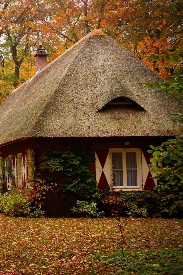 Домик в осеннем лесу обои