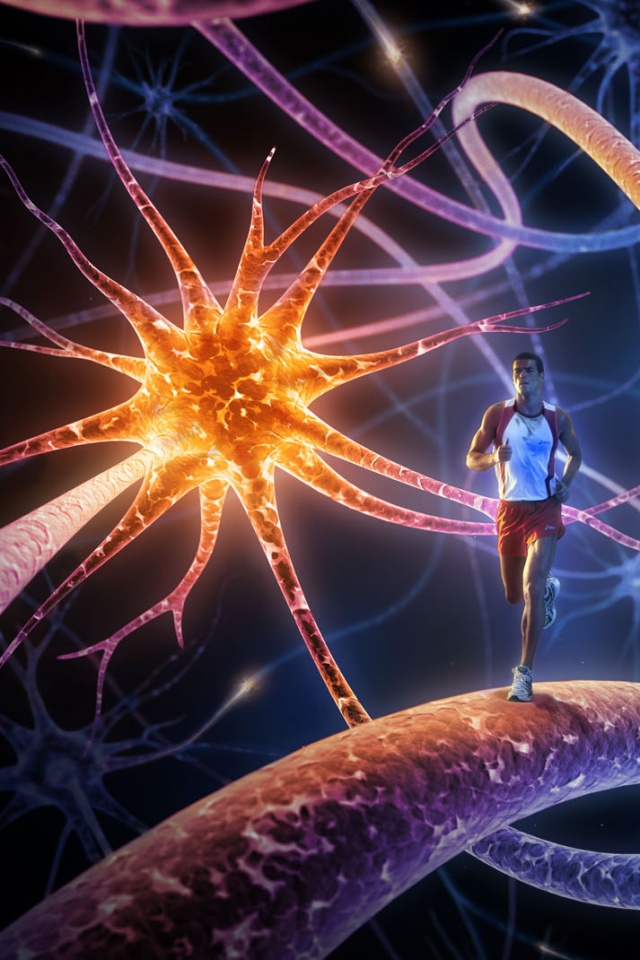 Бег мыслей обои