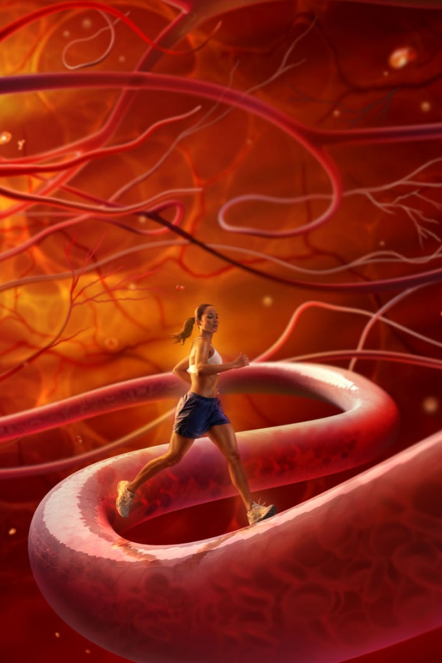 Бег крови обои