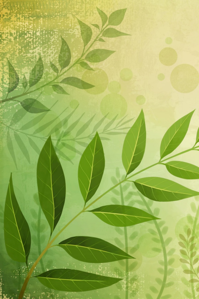 Веточка молодых листьев обои