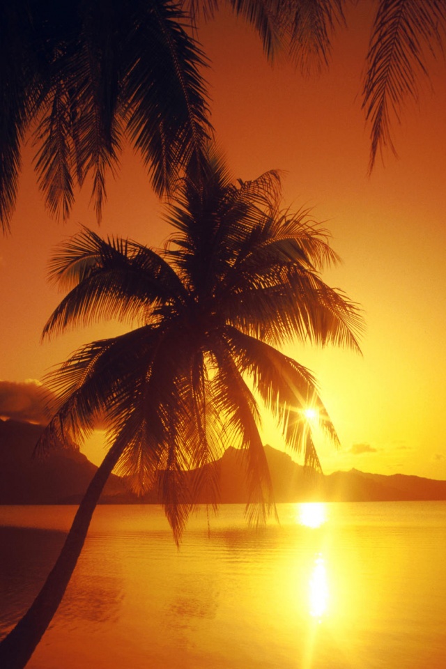 Закат в раю обои