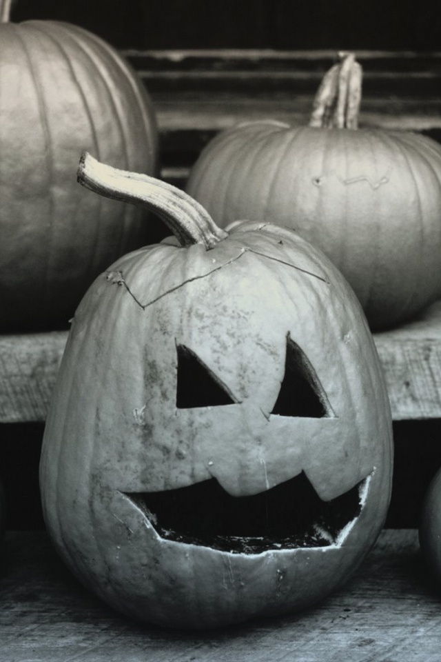 Тыквы на хэллоуин обои