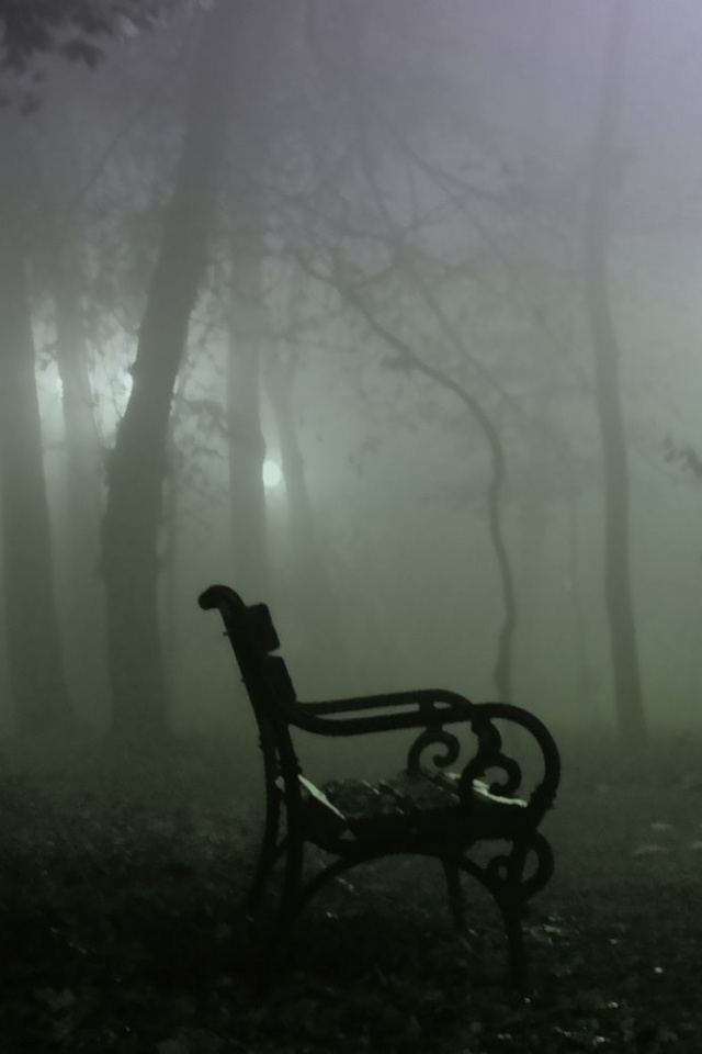 Темный лес обои