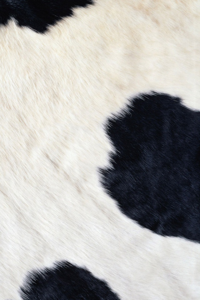 Шкура коровы обои