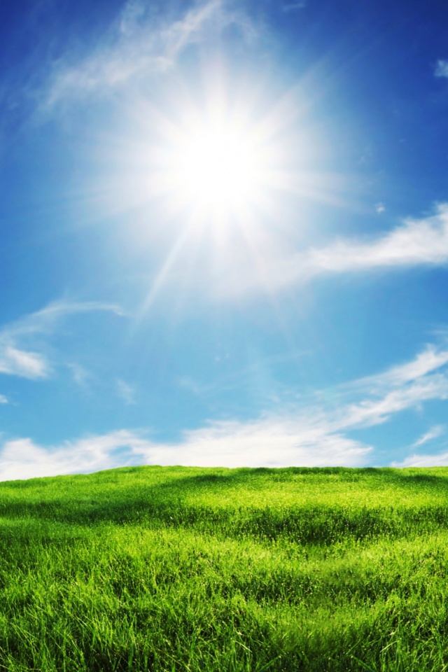 Солнце над холмом обои