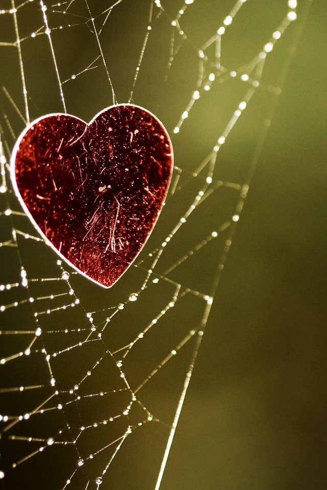 Запутавшаяся любовь.. обои