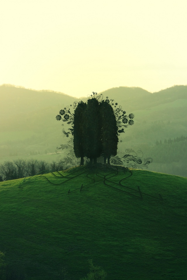 Деревья на холме обои