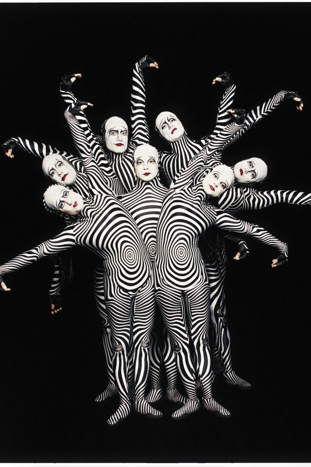 Зеброиды (актеры цирка дю солей) обои