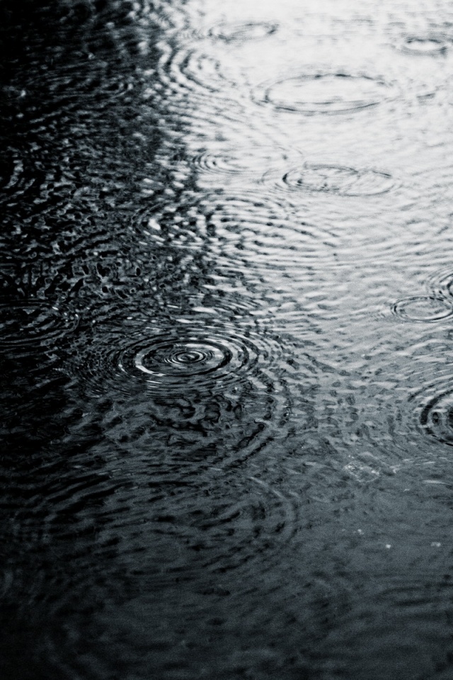 Дождь обои