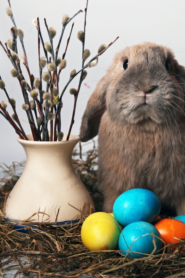 Пасхальный кролик обои