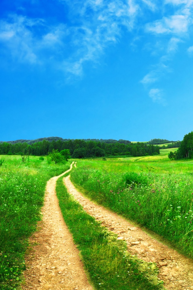 Дорога через луг обои