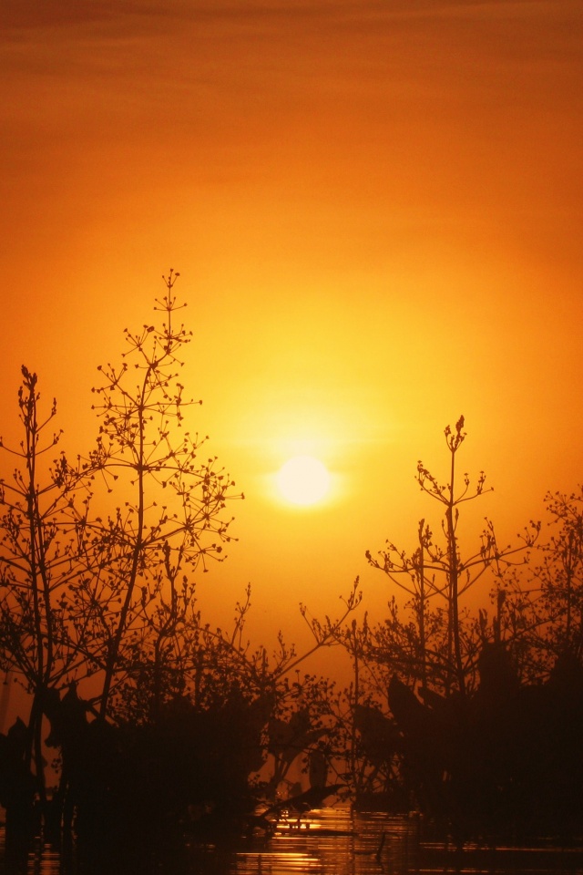 Доисторическое утро обои