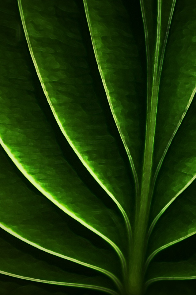 Неоновый лист обои