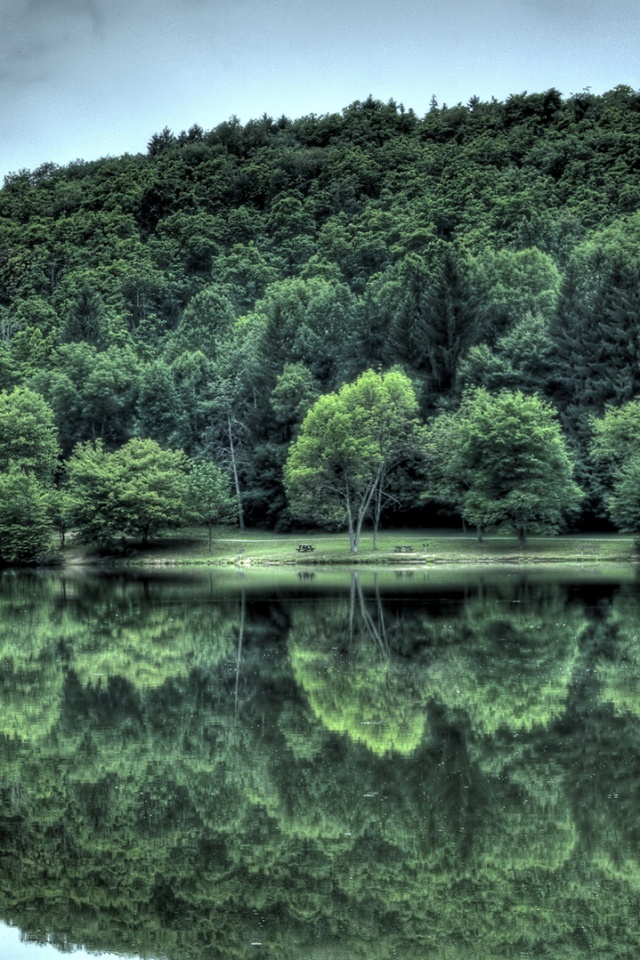 Лесной берег обои