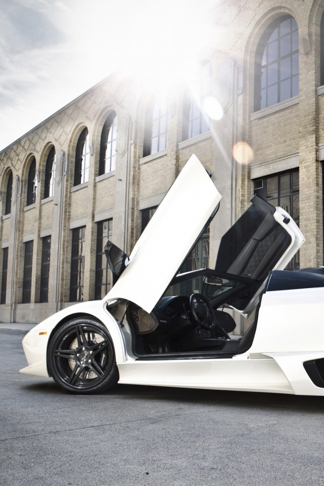 Белая Ламборгини Мурсьелаго обои