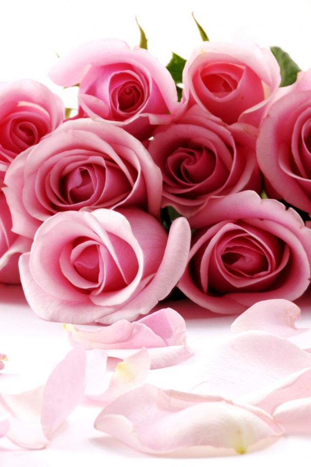 Букет роз обои