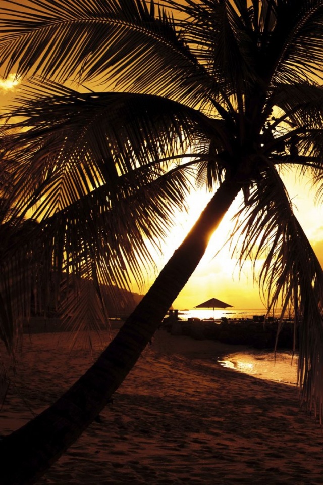 Пляж на закате обои