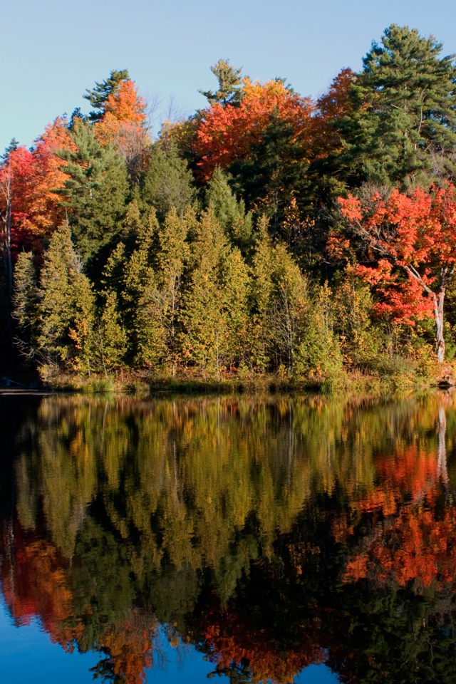 Осенний пейзаж обои