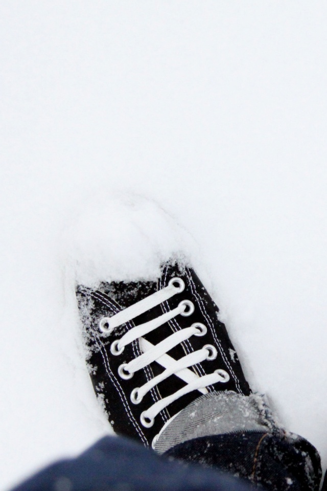 Дурак зимой в кедах обои