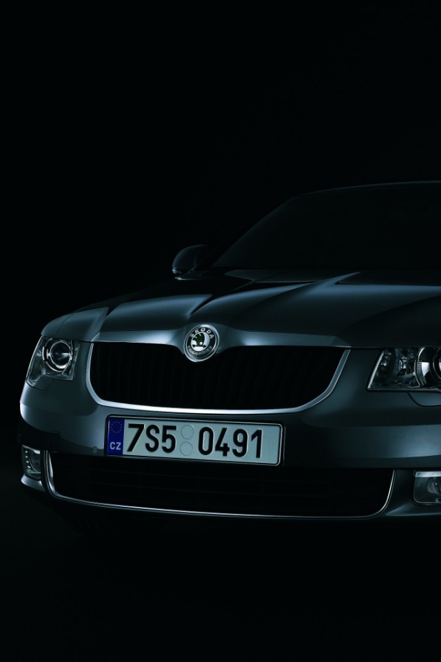 Шкода в темноте обои