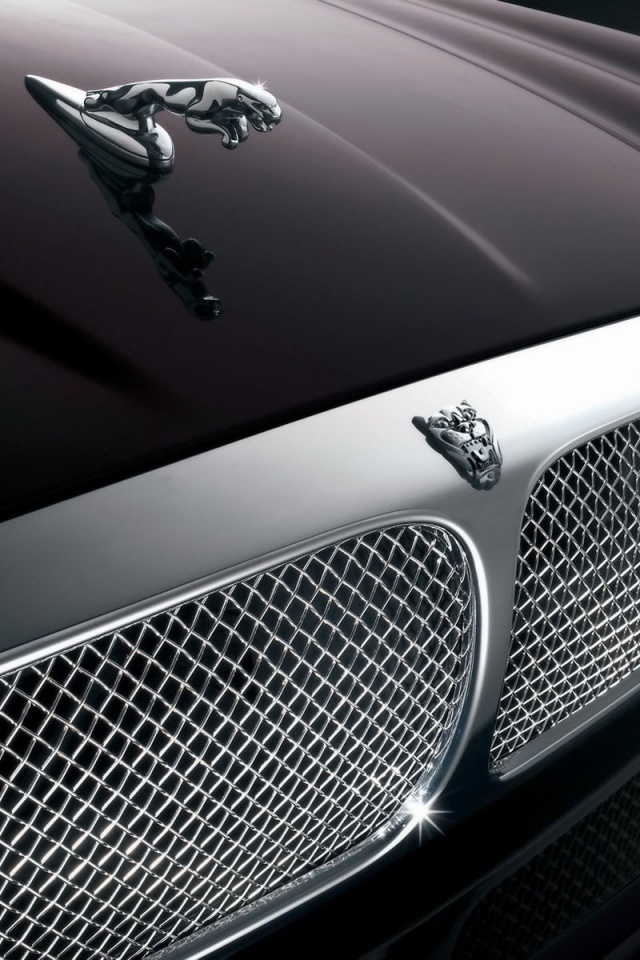 Капот и эмблема Ягуара обои